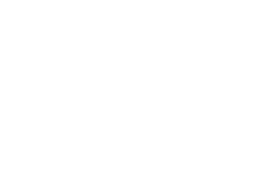 Pestana Hotel Group/Logótipo